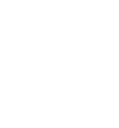 icon_1_cocheb