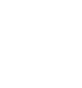 icon_2_cocheb