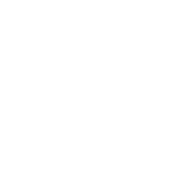 icon_3_cocheb